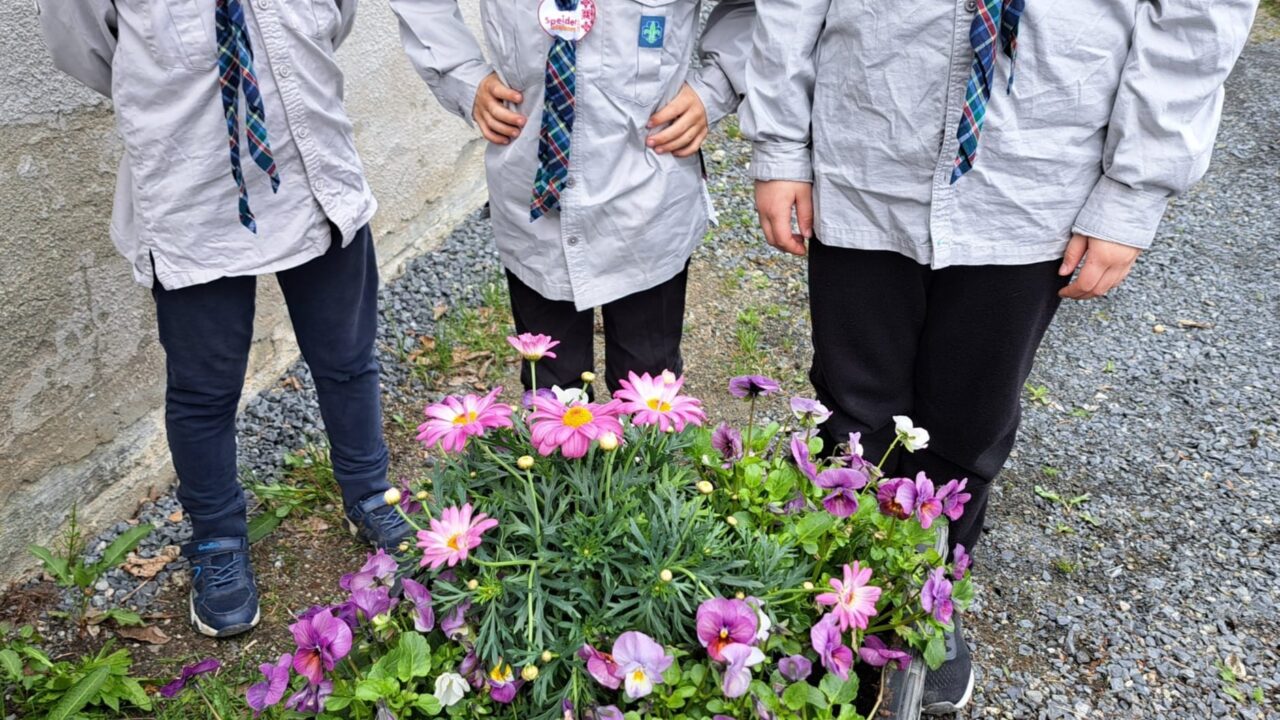 Foto 6. Narvik Speidergruppe